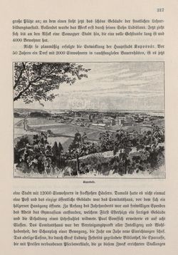 Image of the Page - 317 - in Die österreichisch-ungarische Monarchie in Wort und Bild - Ungarn (4), Volume 16