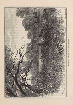 Bild der Seite - 355 - in Die österreichisch-ungarische Monarchie in Wort und Bild - Ungarn (4), Band 16