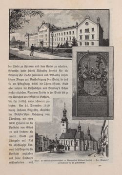 Bild der Seite - 387 - in Die österreichisch-ungarische Monarchie in Wort und Bild - Ungarn (4), Band 16
