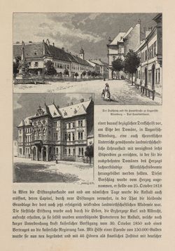 Image of the Page - 443 - in Die österreichisch-ungarische Monarchie in Wort und Bild - Ungarn (4), Volume 16