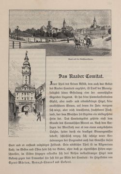 Bild der Seite - 461 - in Die österreichisch-ungarische Monarchie in Wort und Bild - Ungarn (4), Band 16