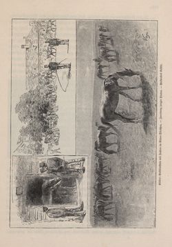 Bild der Seite - 497 - in Die österreichisch-ungarische Monarchie in Wort und Bild - Ungarn (4), Band 16