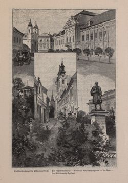 Bild der Seite - 539 - in Die österreichisch-ungarische Monarchie in Wort und Bild - Ungarn (4), Band 16