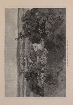 Bild der Seite - 559 - in Die österreichisch-ungarische Monarchie in Wort und Bild - Ungarn (4), Band 16