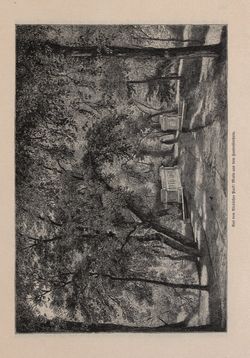 Bild der Seite - 565 - in Die österreichisch-ungarische Monarchie in Wort und Bild - Ungarn (4), Band 16