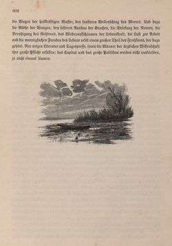 Image of the Page - 602 - in Die österreichisch-ungarische Monarchie in Wort und Bild - Ungarn (4), Volume 16