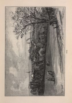 Image of the Page - 45 - in Die österreichisch-ungarische Monarchie in Wort und Bild - Mähren und Schlesien, Volume 17