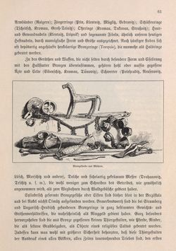 Bild der Seite - 61 - in Die österreichisch-ungarische Monarchie in Wort und Bild - Mähren und Schlesien, Band 17
