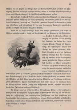 Bild der Seite - 65 - in Die österreichisch-ungarische Monarchie in Wort und Bild - Mähren und Schlesien, Band 17