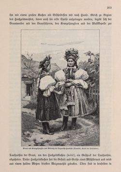 Bild der Seite - 203 - in Die österreichisch-ungarische Monarchie in Wort und Bild - Mähren und Schlesien, Band 17