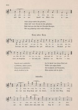 Bild der Seite - 218 - in Die österreichisch-ungarische Monarchie in Wort und Bild - Mähren und Schlesien, Band 17