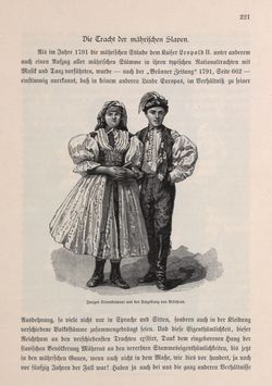Bild der Seite - 221 - in Die österreichisch-ungarische Monarchie in Wort und Bild - Mähren und Schlesien, Band 17