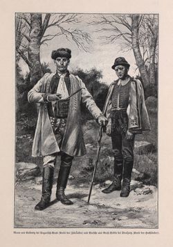 Bild der Seite - 229 - in Die österreichisch-ungarische Monarchie in Wort und Bild - Mähren und Schlesien, Band 17