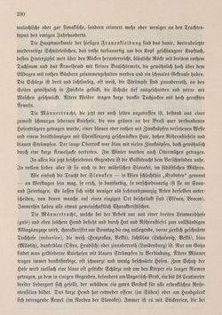 Bild der Seite - 230 - in Die österreichisch-ungarische Monarchie in Wort und Bild - Mähren und Schlesien, Band 17