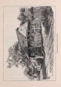 Bild der Seite - 249 - in Die österreichisch-ungarische Monarchie in Wort und Bild - Mähren und Schlesien, Band 17