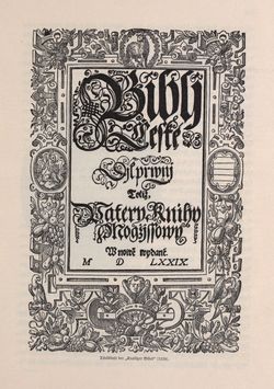 Bild der Seite - 303 - in Die österreichisch-ungarische Monarchie in Wort und Bild - Mähren und Schlesien, Band 17
