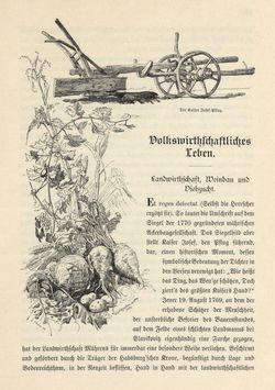 Image of the Page - 405 - in Die österreichisch-ungarische Monarchie in Wort und Bild - Mähren und Schlesien, Volume 17