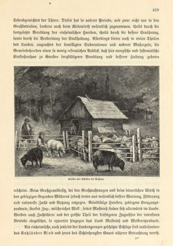 Bild der Seite - 419 - in Die österreichisch-ungarische Monarchie in Wort und Bild - Mähren und Schlesien, Band 17