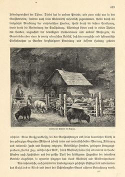Image of the Page - 419 - in Die österreichisch-ungarische Monarchie in Wort und Bild - Mähren und Schlesien, Volume 17