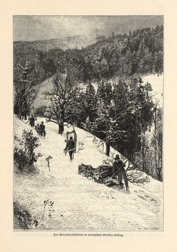 Bild der Seite - 433 - in Die österreichisch-ungarische Monarchie in Wort und Bild - Mähren und Schlesien, Band 17