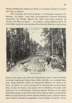 Image of the Page - 491 - in Die österreichisch-ungarische Monarchie in Wort und Bild - Mähren und Schlesien, Volume 17