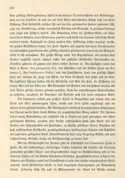 Image of the Page - 520 - in Die österreichisch-ungarische Monarchie in Wort und Bild - Mähren und Schlesien, Volume 17