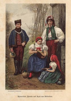 Image of the Page - (00000559) - in Die österreichisch-ungarische Monarchie in Wort und Bild - Mähren und Schlesien, Volume 17