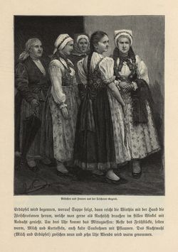 Bild der Seite - 585 - in Die österreichisch-ungarische Monarchie in Wort und Bild - Mähren und Schlesien, Band 17
