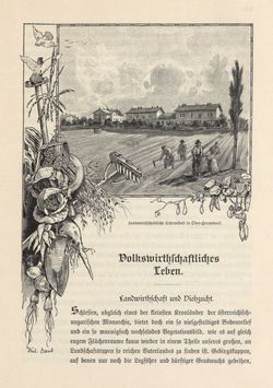 Bild der Seite - 653 - in Die österreichisch-ungarische Monarchie in Wort und Bild - Mähren und Schlesien, Band 17