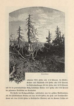 Image of the Page - 671 - in Die österreichisch-ungarische Monarchie in Wort und Bild - Mähren und Schlesien, Volume 17