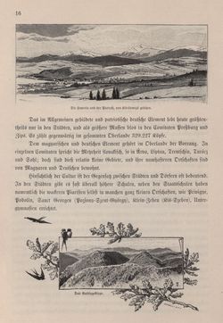 Bild der Seite - 16 - in Die österreichisch-ungarische Monarchie in Wort und Bild - Ungarn (5), Band 18