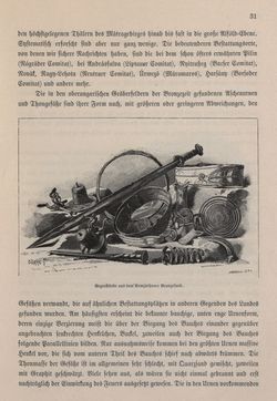 Bild der Seite - 31 - in Die österreichisch-ungarische Monarchie in Wort und Bild - Ungarn (5), Band 18