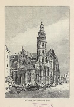 Image of the Page - 83 - in Die österreichisch-ungarische Monarchie in Wort und Bild - Ungarn (5), Volume 18