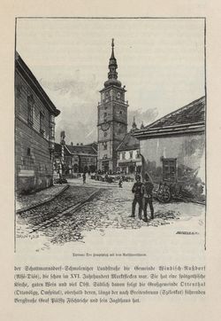 Image of the Page - 223 - in Die österreichisch-ungarische Monarchie in Wort und Bild - Ungarn (5), Volume 18