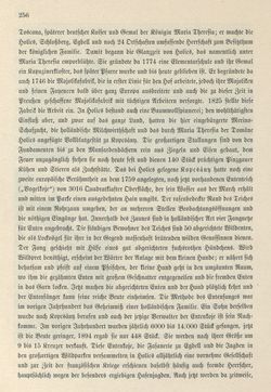 Bild der Seite - 256 - in Die österreichisch-ungarische Monarchie in Wort und Bild - Ungarn (5), Band 18