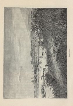Image of the Page - 263 - in Die österreichisch-ungarische Monarchie in Wort und Bild - Ungarn (5), Volume 18