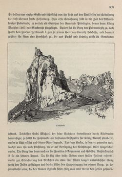 Bild der Seite - 309 - in Die österreichisch-ungarische Monarchie in Wort und Bild - Ungarn (5), Band 18