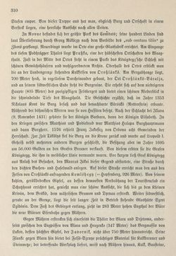 Bild der Seite - 310 - in Die österreichisch-ungarische Monarchie in Wort und Bild - Ungarn (5), Band 18