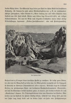 Bild der Seite - 313 - in Die österreichisch-ungarische Monarchie in Wort und Bild - Ungarn (5), Band 18