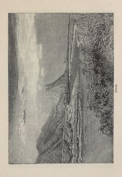 Bild der Seite - 315 - in Die österreichisch-ungarische Monarchie in Wort und Bild - Ungarn (5), Band 18