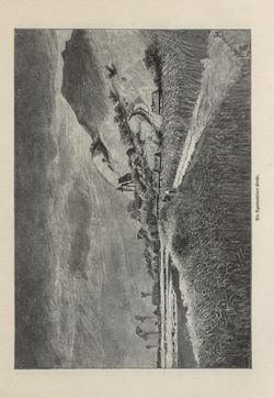 Image of the Page - 385 - in Die österreichisch-ungarische Monarchie in Wort und Bild - Ungarn (5), Volume 18