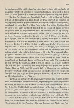 Bild der Seite - 421 - in Die österreichisch-ungarische Monarchie in Wort und Bild - Ungarn (5), Band 18