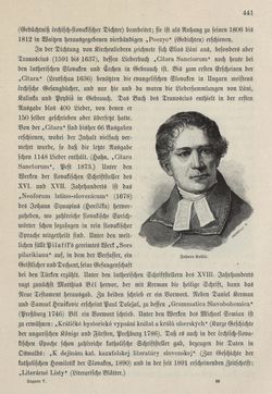 Bild der Seite - 441 - in Die österreichisch-ungarische Monarchie in Wort und Bild - Ungarn (5), Band 18