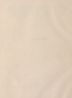 Bild der Seite - 2 - in Die österreichisch-ungarische Monarchie in Wort und Bild - Galizien, Band 19