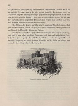 Bild der Seite - 110 - in Die österreichisch-ungarische Monarchie in Wort und Bild - Galizien, Band 19