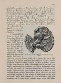 Image of the Page - 173 - in Die österreichisch-ungarische Monarchie in Wort und Bild - Galizien, Volume 19