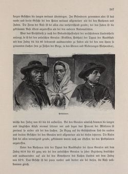 Bild der Seite - 247 - in Die österreichisch-ungarische Monarchie in Wort und Bild - Galizien, Band 19