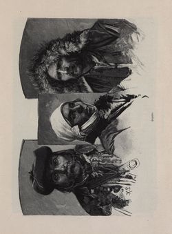 Image of the Page - 249 - in Die österreichisch-ungarische Monarchie in Wort und Bild - Galizien, Volume 19