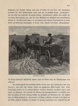 Bild der Seite - 315 - in Die österreichisch-ungarische Monarchie in Wort und Bild - Galizien, Band 19