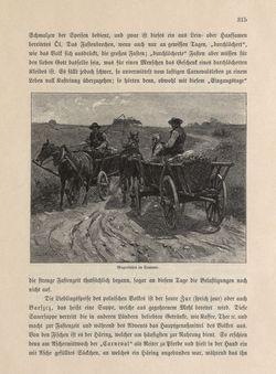 Image of the Page - 315 - in Die österreichisch-ungarische Monarchie in Wort und Bild - Galizien, Volume 19